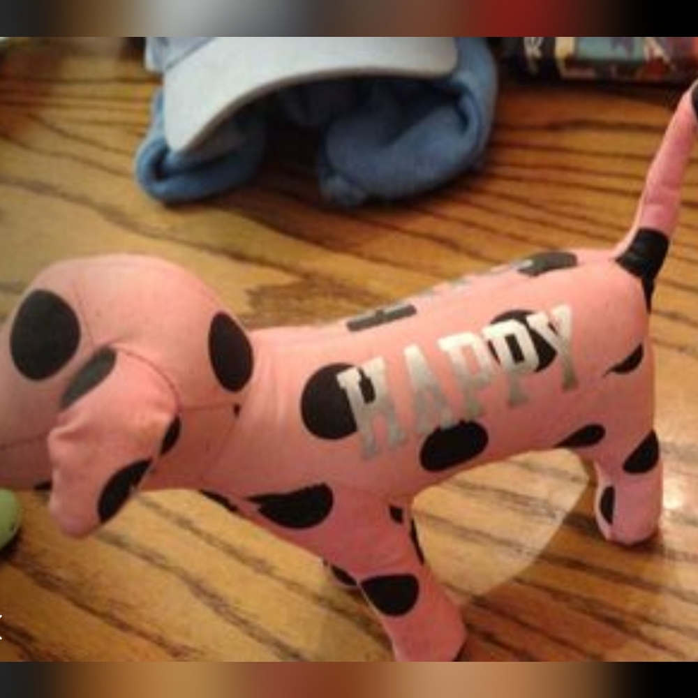 Victoria Secret dogs - Picture 3 of 3